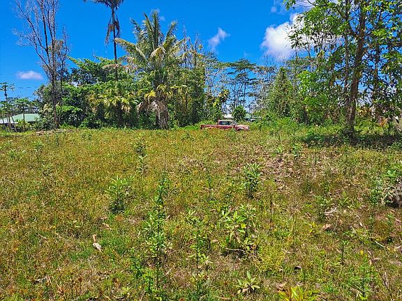 5th image of Hanale Dr Lot 40