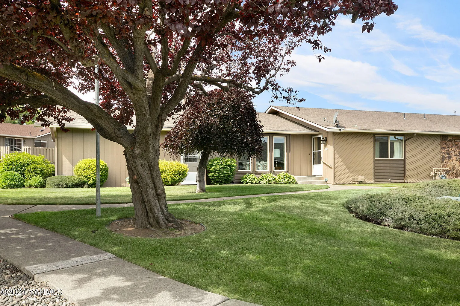 3009 Redwood Way photo 1