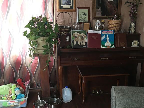Part of the Family Room