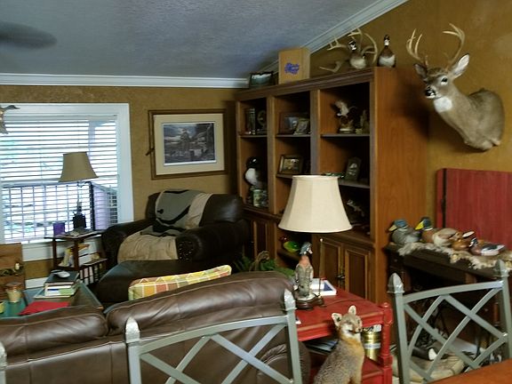 5th image of 243 Birdsong Ln
