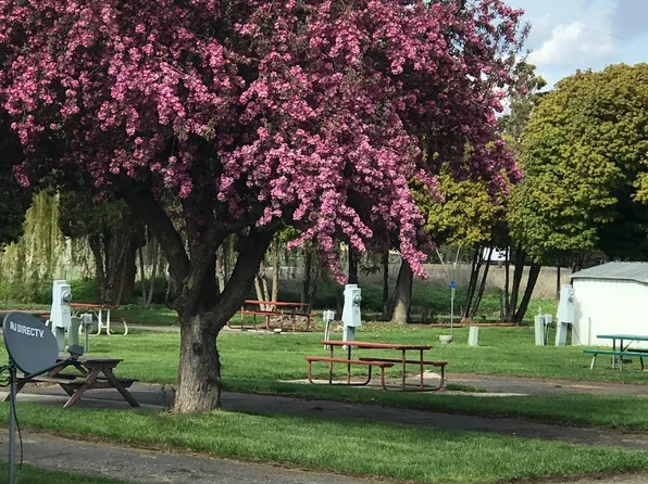 712 SE Railroad Ave Space 23A, Wilbur, WA 99185