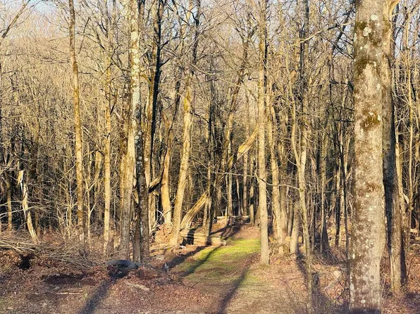 46.33 Vacant Acres, Rome, PA 18837