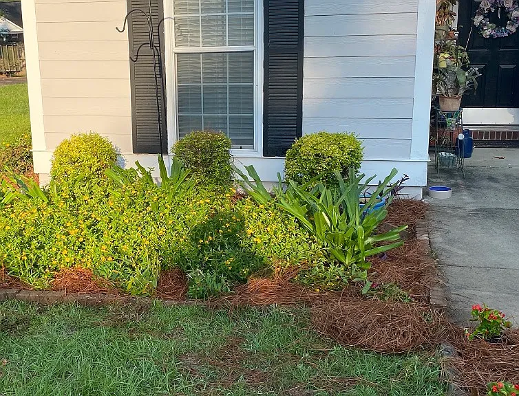 116 Stapleton Dr — Photo 13