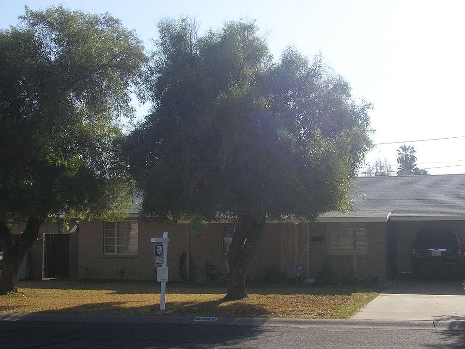 Great Shade Trees!