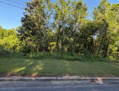 0 Old Mill Run, Dothan, AL, 36303