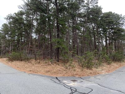110 Harding Drive, Wellfleet, MA, 02667