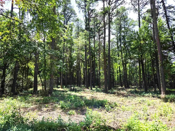 Unknown Missouri St, Mena, AR 71953