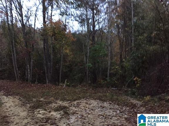 3rd image of Valley Road Place Acres #50
