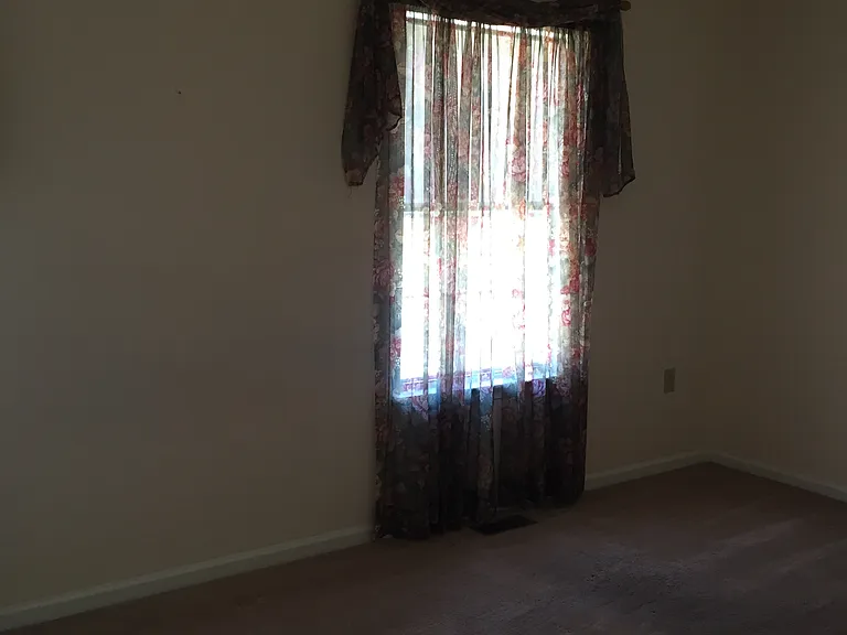13002 Silver Maple Ct — Photo 8