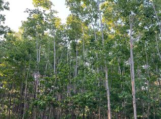 Near Goodfellow Rd, Tomahawk, WI 54487