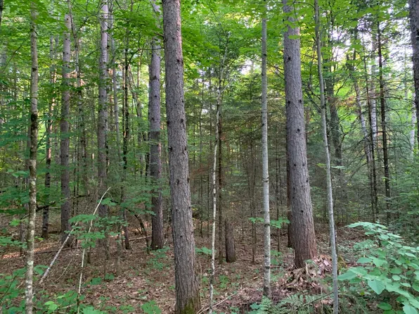 LOT 24 Deer Trl, Presque Isle, WI 54557