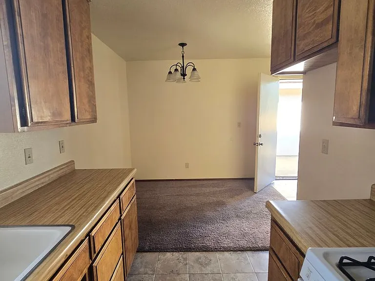 811 E Menlo Ave — Photo 6