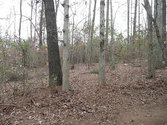 3rd image of 2478 Sweet Shrub Cir