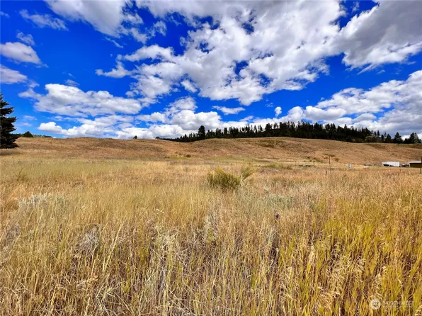 14 Heron Loop Road, Republic, WA 99166