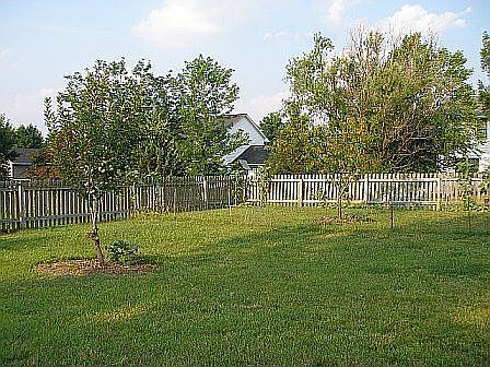 backyard with fence
