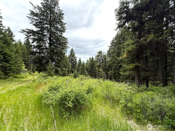 0 Pontiac Ridge Road, Oroville, WA 98844
