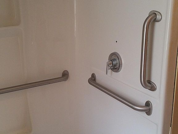 Grab bars in side Shower