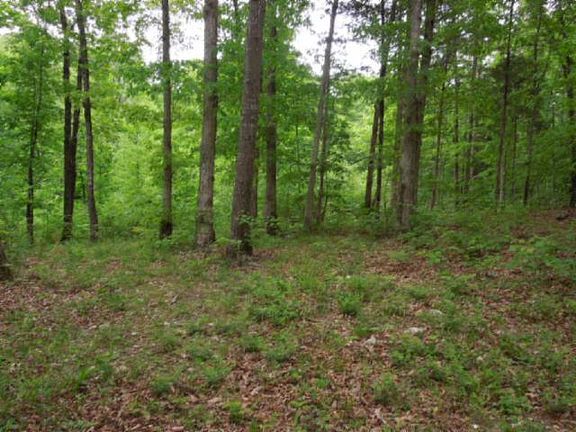 3rd image of 156.13 Ac. Clay County Hwy