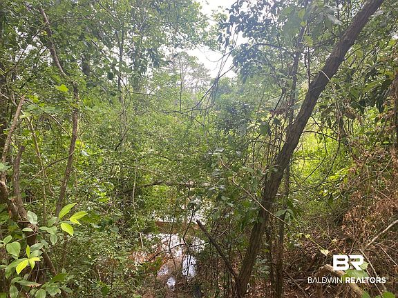 5th image of 0 Bear Fork Rd