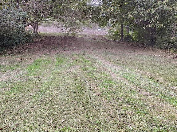 4th image of 206 County Road 738