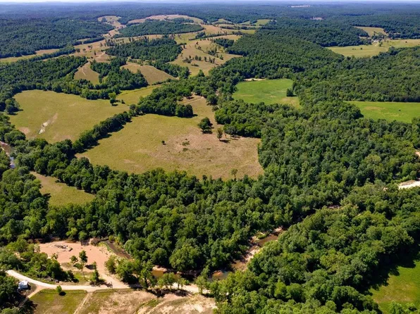 15351 Wayne Rte E, Lowndes, MO 63951