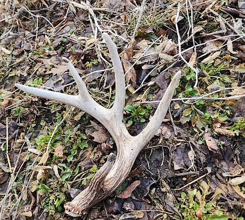 5th image of 0000 Main Rd