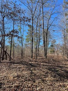 LOT 10 Barrington Farms Dr, Aiken, SC, 29803