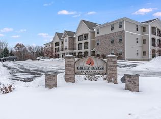 15631 Linnet St NW #3205, Andover, MN 55304