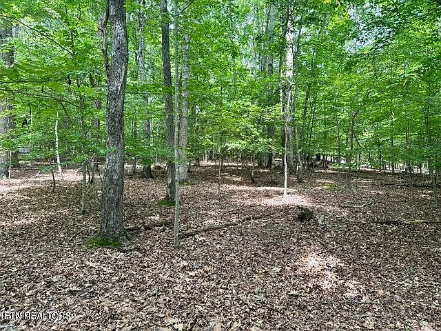 1st image of Woods Ridge Rd