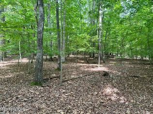 Woods Ridge Rd, Dandridge, TN 37725