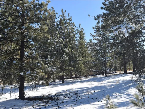 120 Harness Way, Hartsel, CO 80449