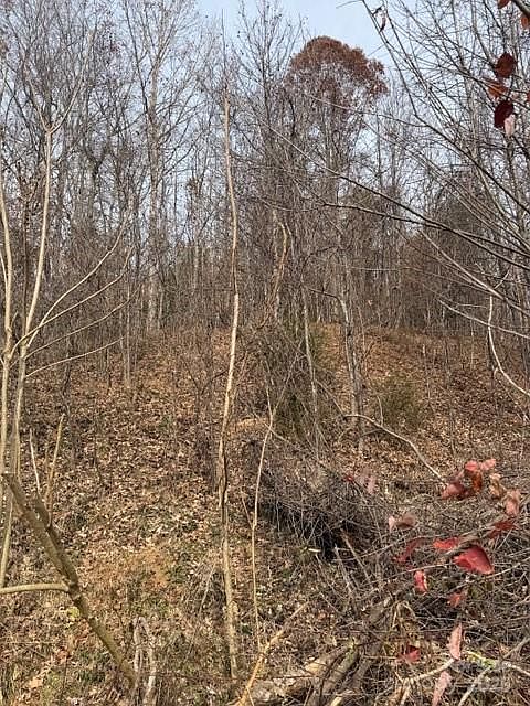 2nd image of 0 Yancey Rd