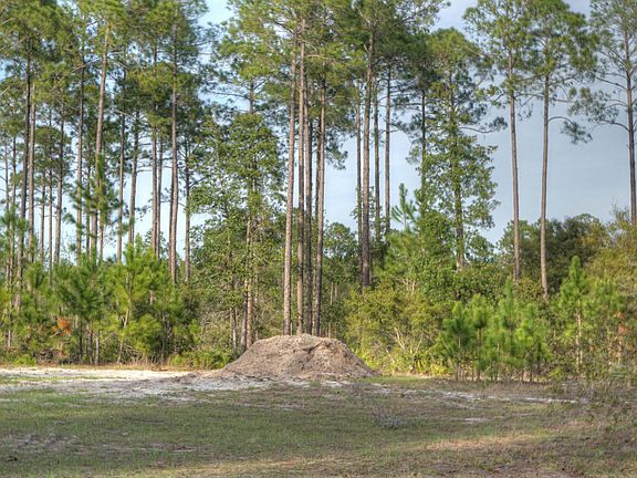 2nd image of 95291 Amelia National Pkwy