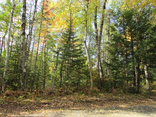 On Middle Sugarbush Ln, Lac Du Flambeau, WI 54538