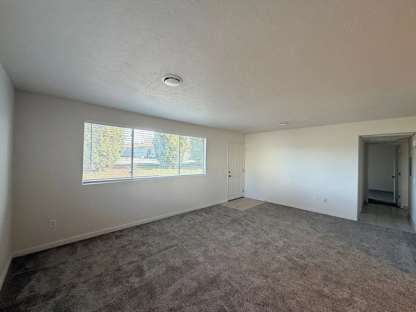 1000ca — Photo 2