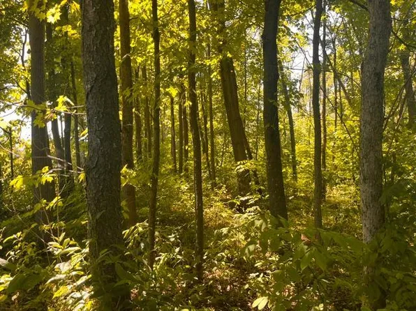 LOT 1 County Rd N, Woodville, WI 54028