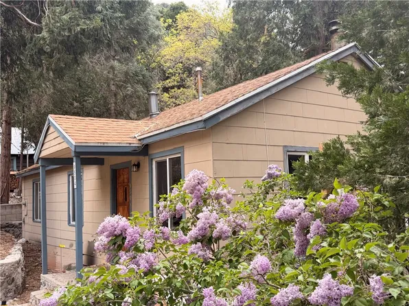 9504 Summit Dr, Forest Falls, CA 92339