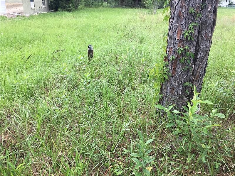 2nd image of 6685 W Renee Ln