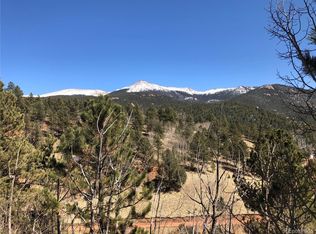 311 Beaver Pond Rd, Divide, CO 80814