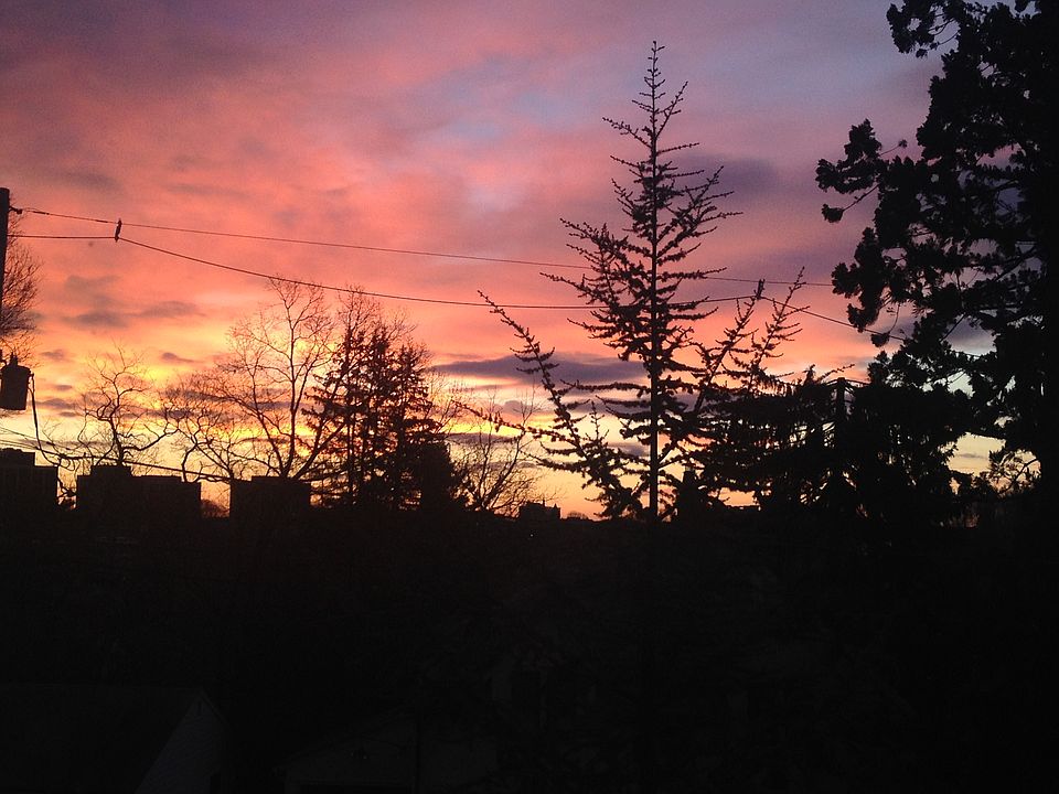 Sunrise view from couch
