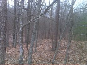 2nd image of 1170 Oak Grove Rd