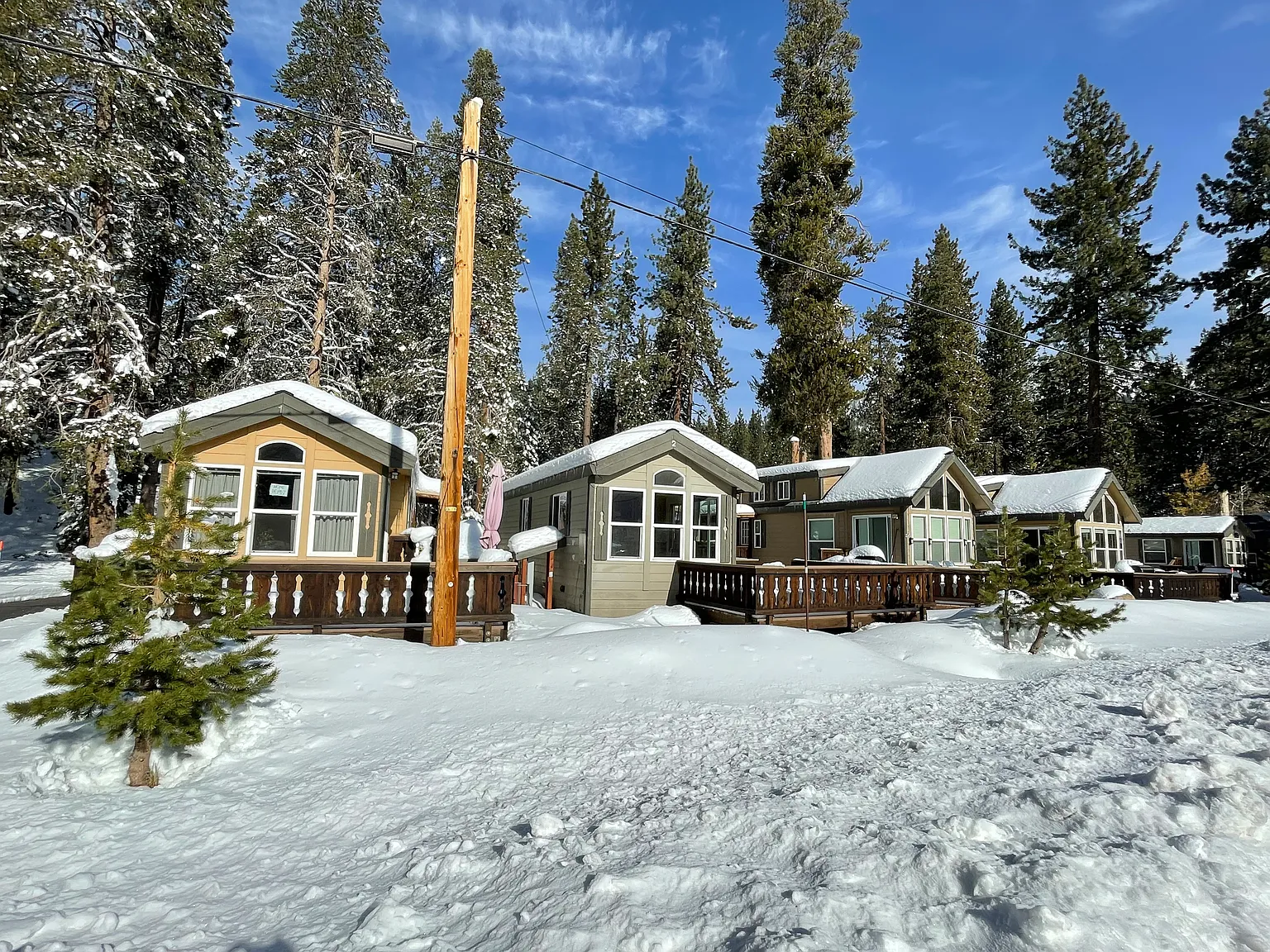 1 bed, 399 sqft, $1,950 — Photo 1
