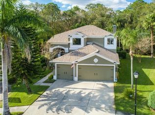 12817 Killarney Ct, Odessa, FL 33556
