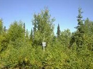 24978 W Willow Creek Pkwy, Willow, AK 99688