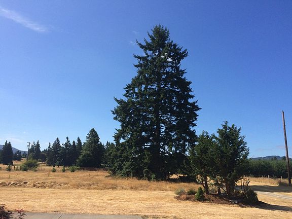 4th image of 10346 138th Ave SE