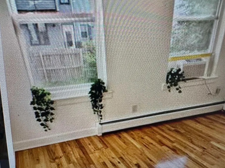 181 South St #1 — Photo 18