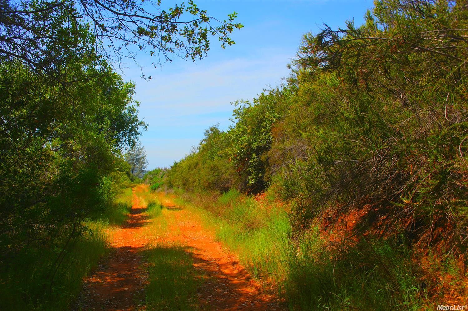 6400 Mount Murphy Rd, Garden Valley, CA 95633 MLS 223044397 Zillow