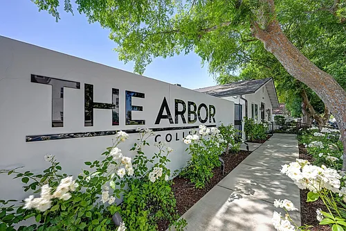 The Arbor Collection Photo 1