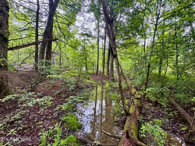 Abe Ln, Lancing, TN, 37770