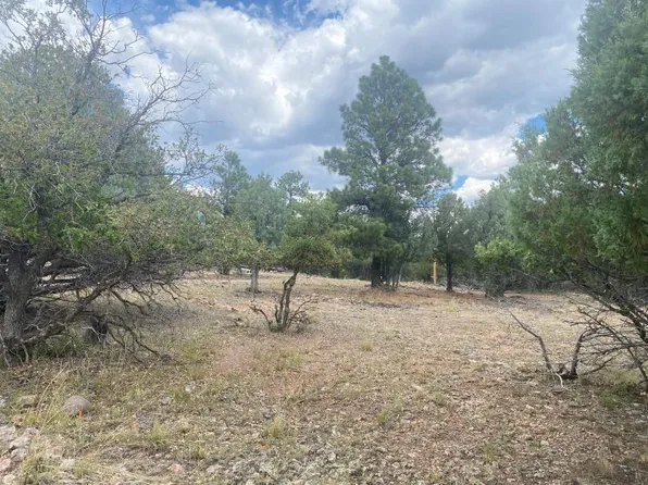 Section 24 Township 29, Los Ojos, NM 87551
